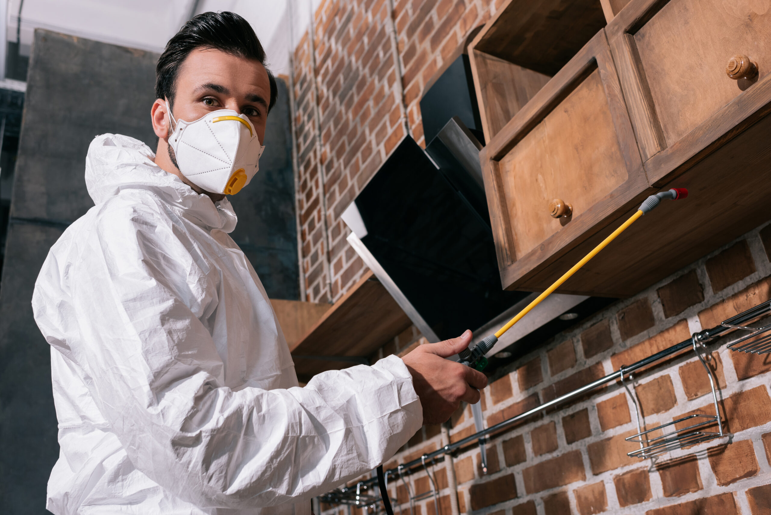 low angle view of pest control worker spraying pesticides under shelves in kitchen