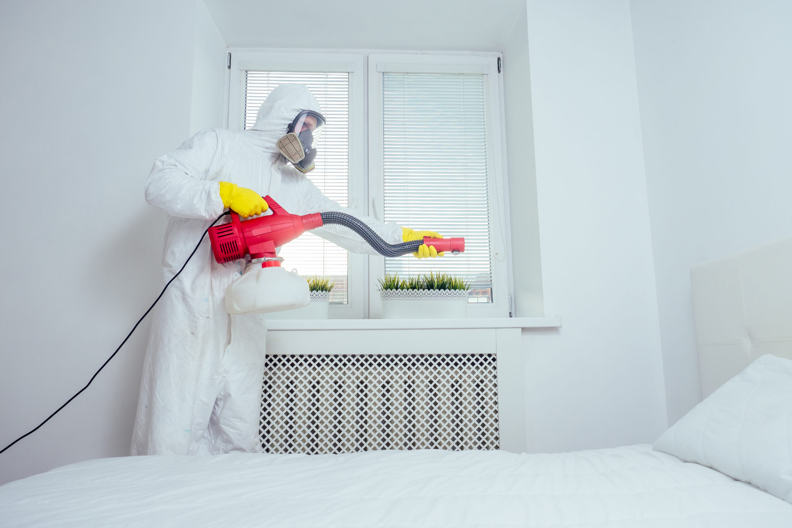 pest control worker lying on floor and spraying pesticides in bedroom.